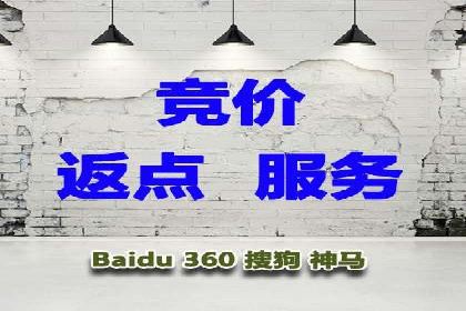 某某sem代运营公司：打造高效广告投放的秘诀